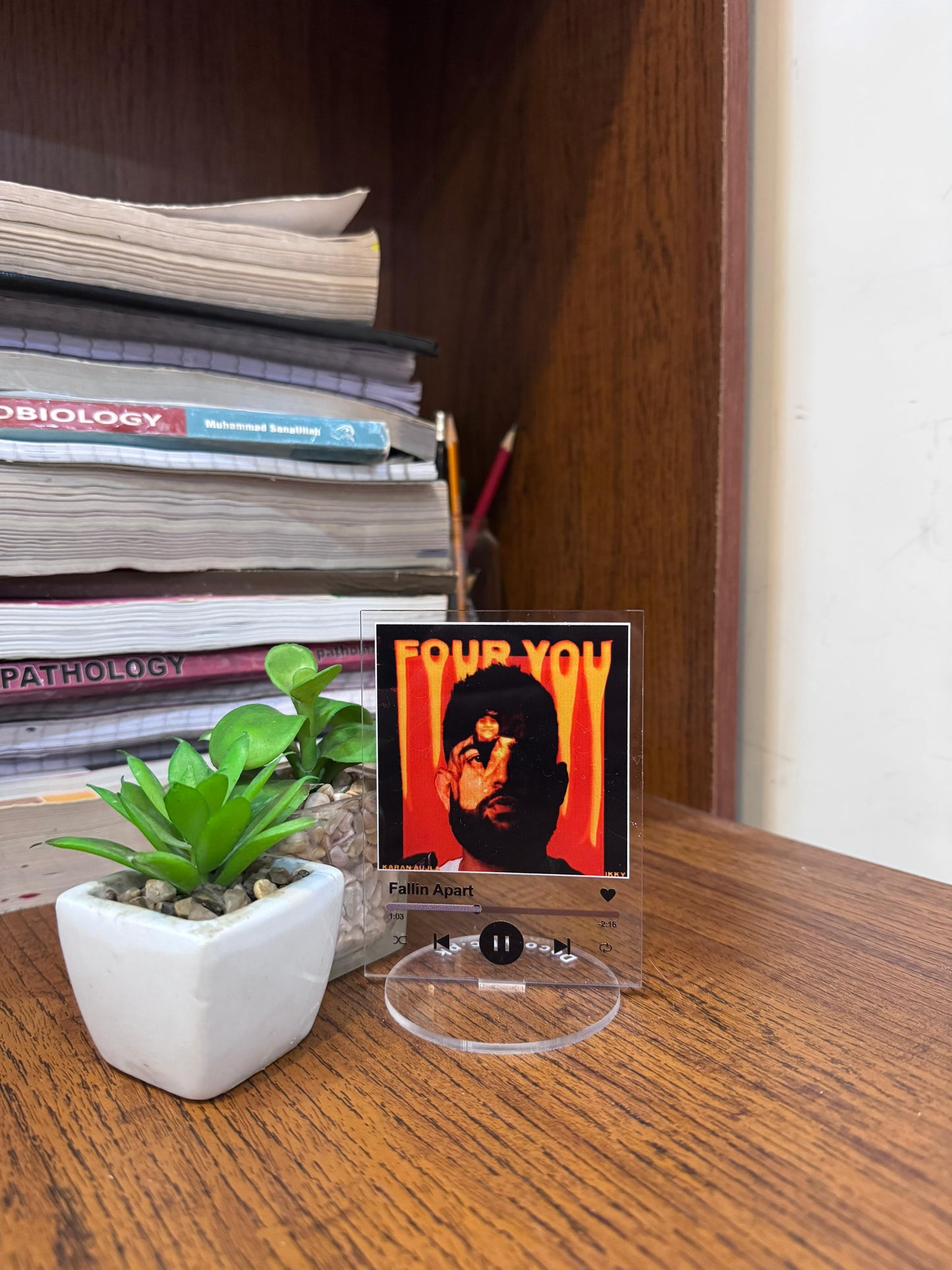 karan aujla song standee
