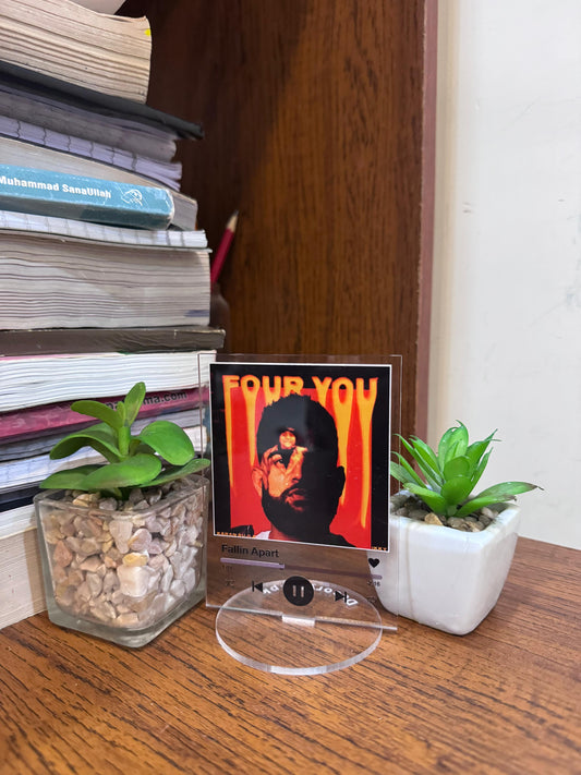karan aujla song standee