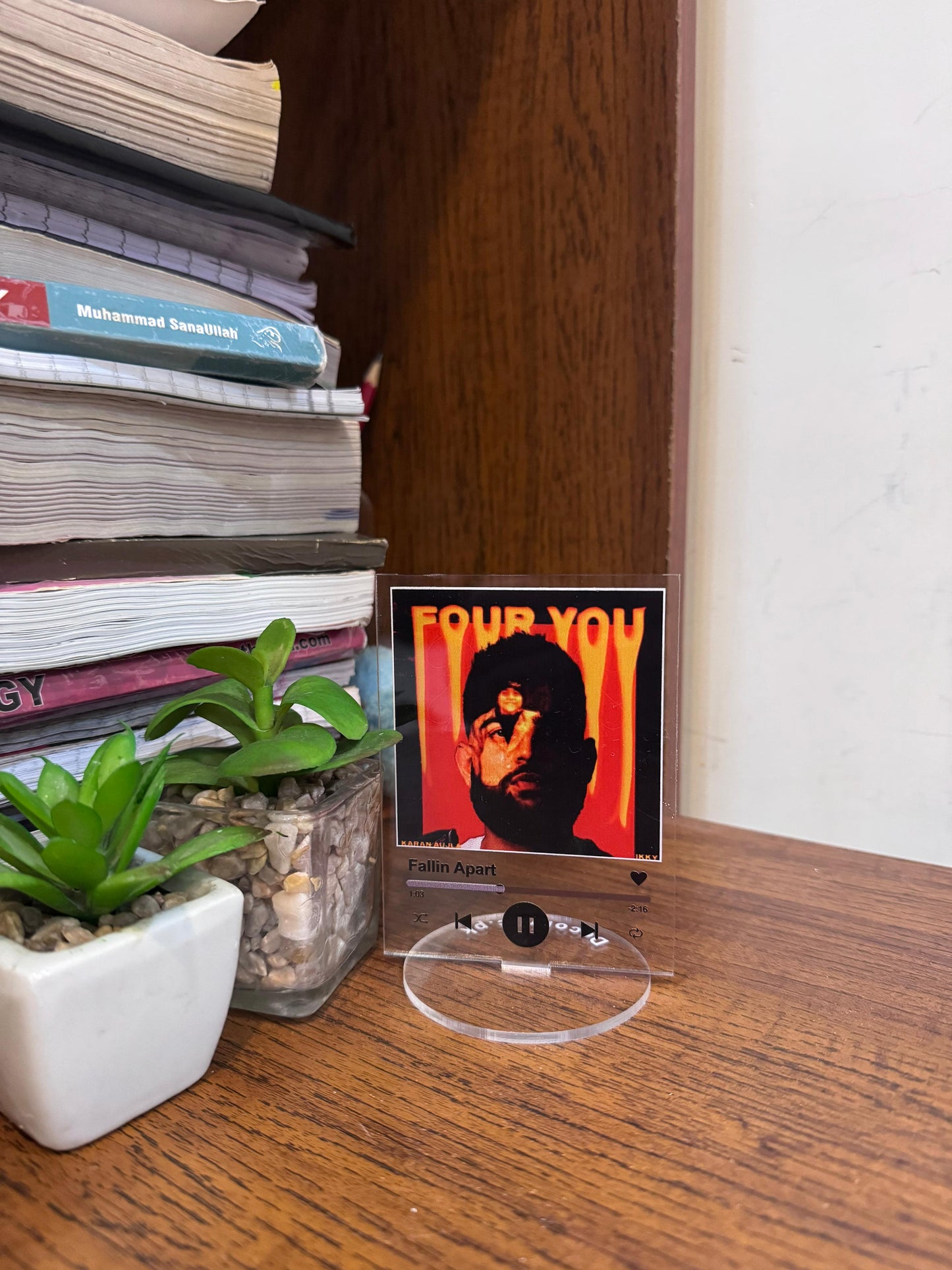 karan aujla song standee