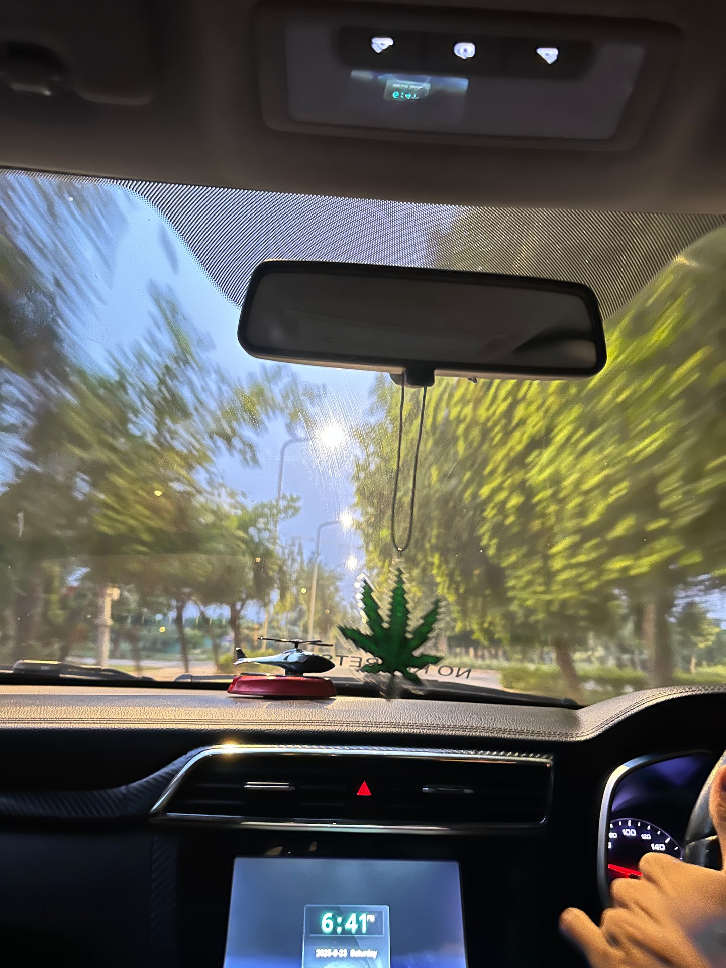 Weed acrylic car hanging